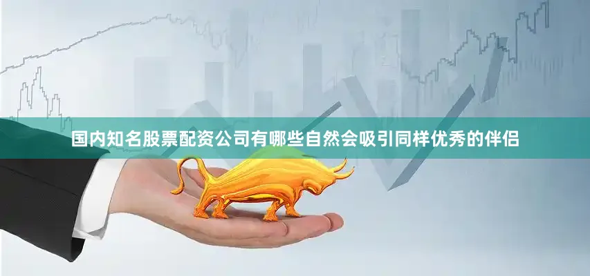 国内知名股票配资公司有哪些自然会吸引同样优秀的伴侣